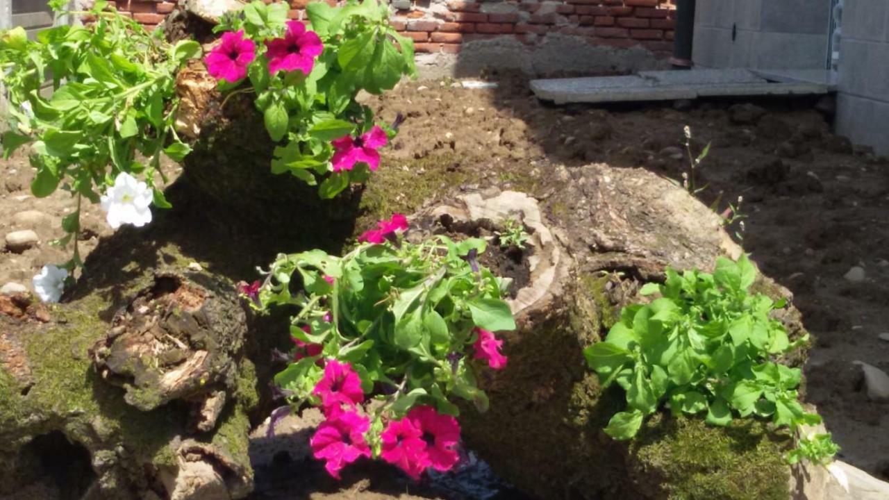 B&B Honey Rooms Saronno Exterior foto